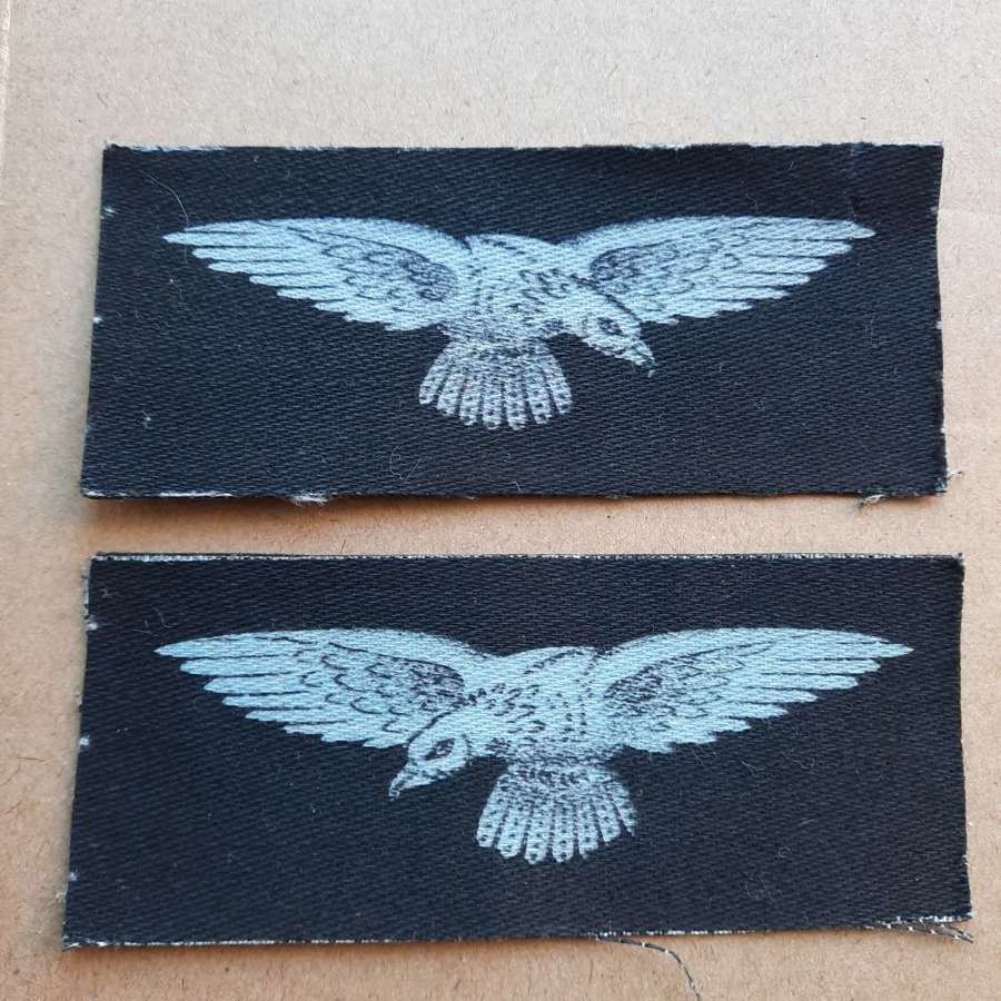 Pair of Printed RAF Shoulder Eagles
