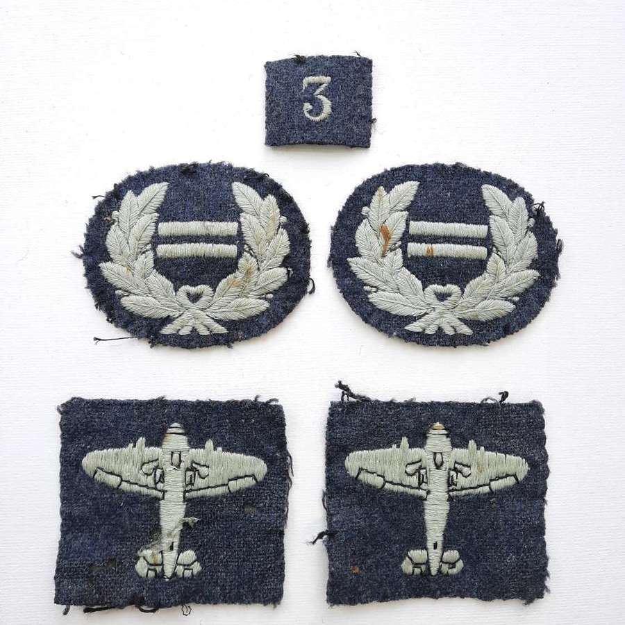 Royal Observer Corps Insignia