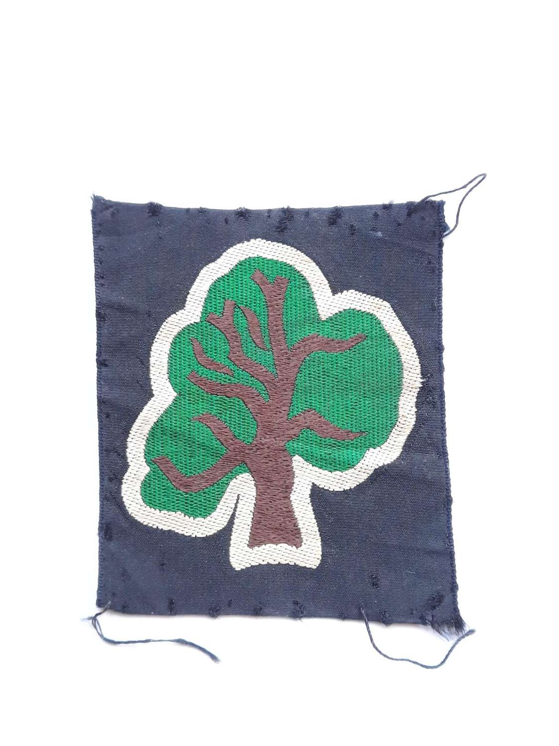 46th infantry Division Patch