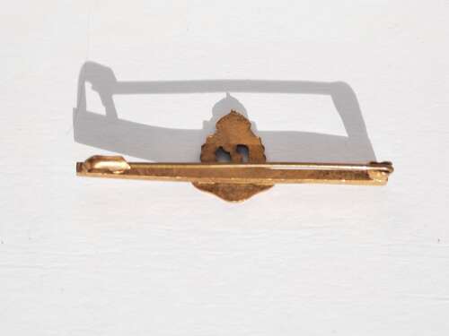 RAMC Sweetheart Brooch